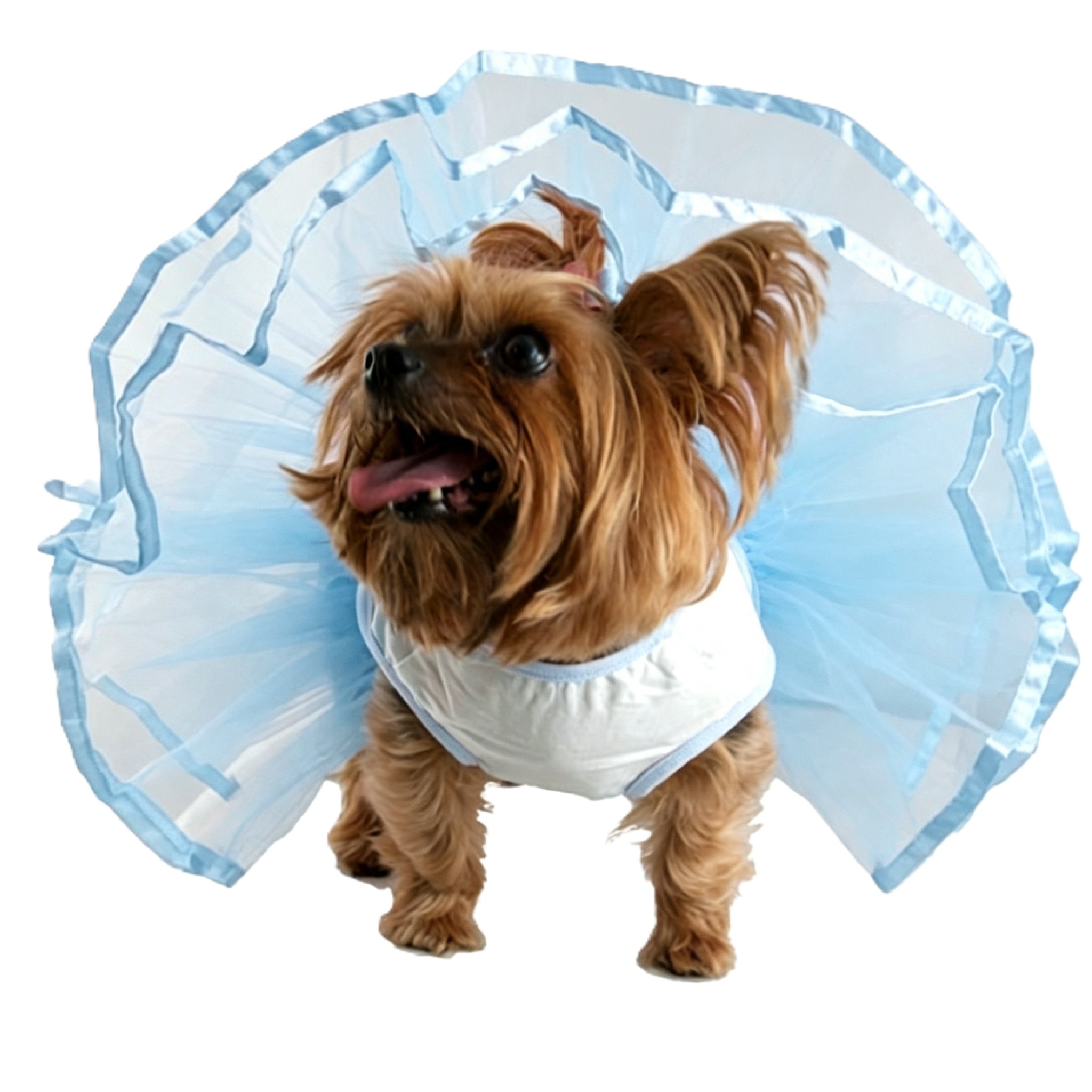 Light Blue Satin Trim Pet Dog Tutu Dress