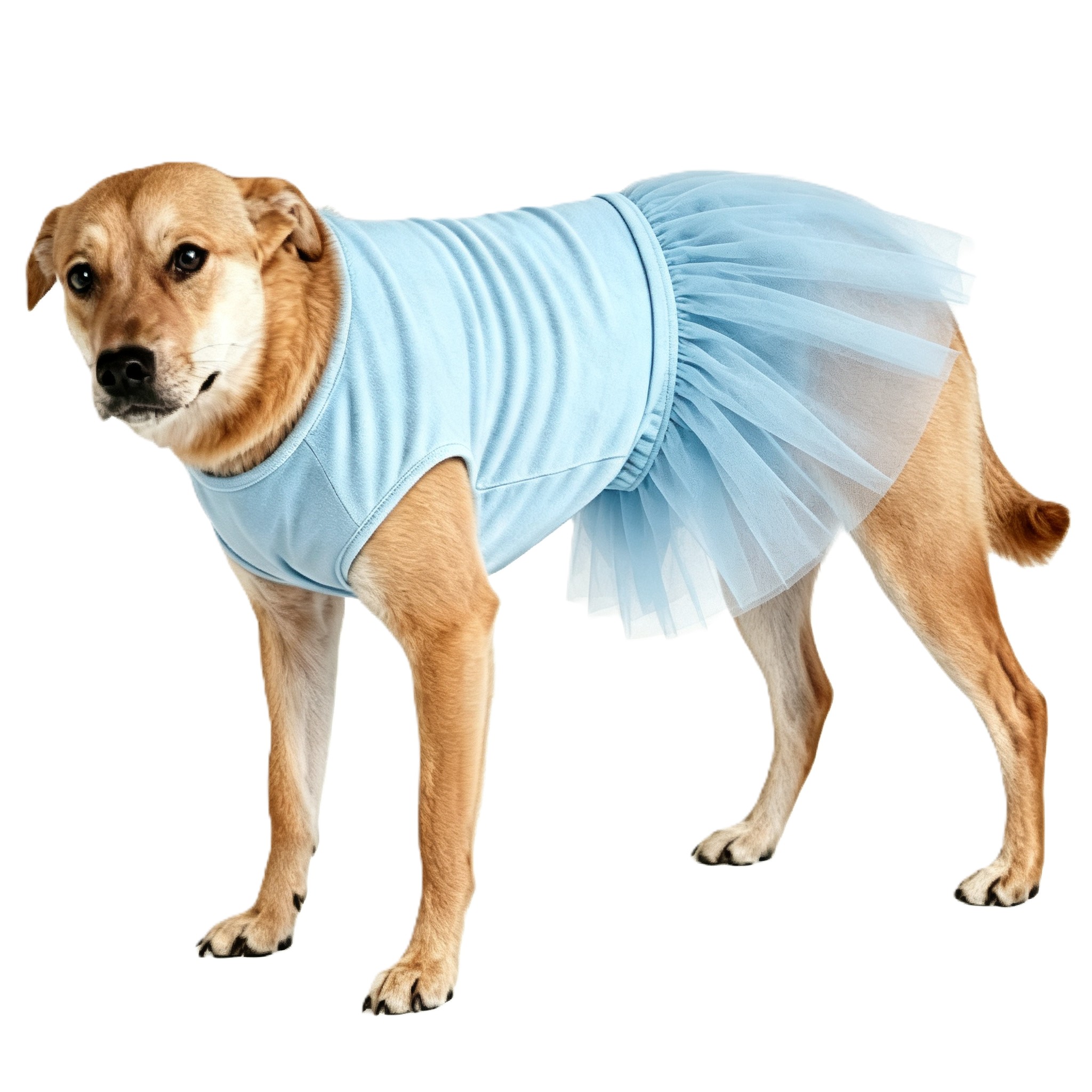 Light Blue Sleeveless Pet Dog Tutu Dress