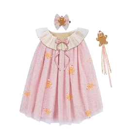 Christmas - Themed Pink Tulle Dress - Up Set