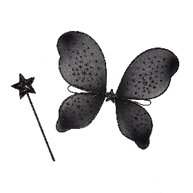 Black Star - Embellished Fairy Wing and Wand Set