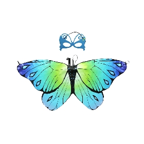 Butterfly Wing and Mask Set